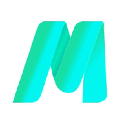 MetricStream logo