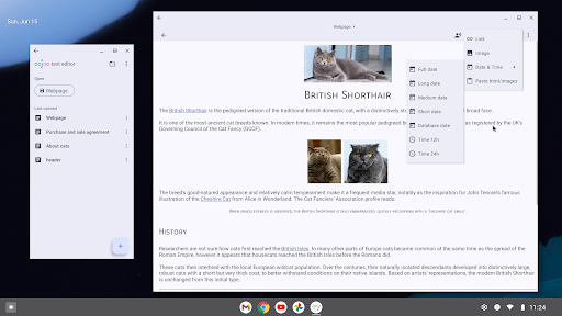 Screenshot of Text Editor