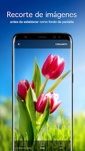 Captura 3 Fondos de pantalla con tulipán android