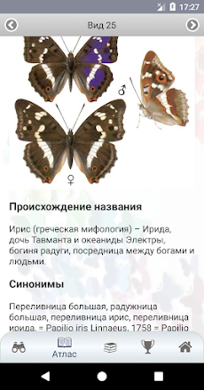 ЭкоГид: Дневные бабочкиのおすすめ画像5