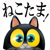 Combo Fat Cat -猫砻訳でジャンプ！ icon