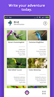 Bird Identifier Captura de tela