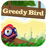 Greedy Bird icon