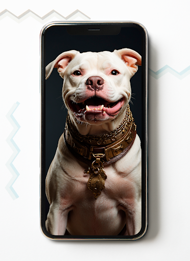 Pitbull HD Wallpapers