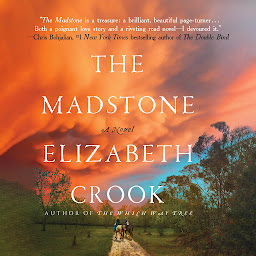 Icon image The Madstone: A Novel