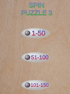 Spin Puzzle 3