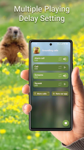 Groundhog Hunting Calls Screen 2