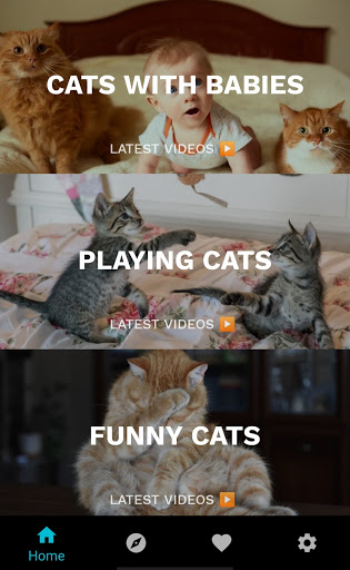Funny Cat Videos Funny Reactions and Cute Sounds