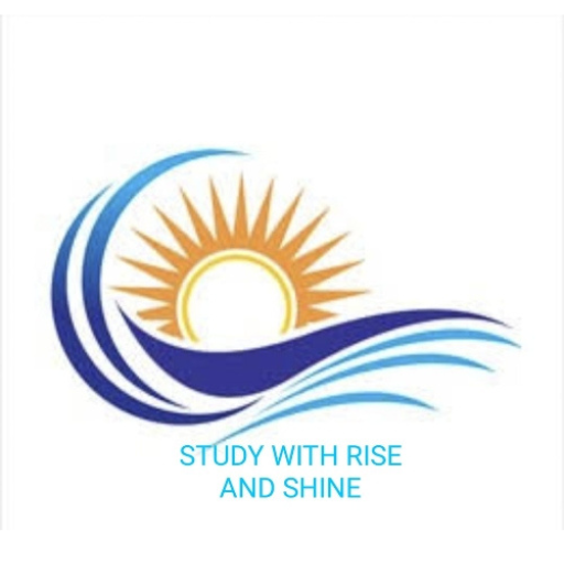 RISE logo