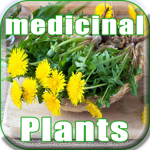 MEDICINAL PLANTS:  Icon