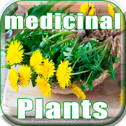 MEDICINAL PLANTS: