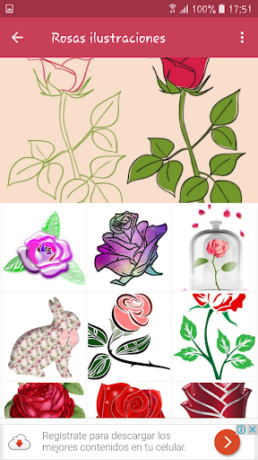 🌼🌷Flores hermosas para compa