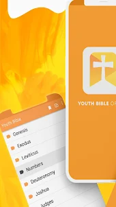 Youth Bible King James offline