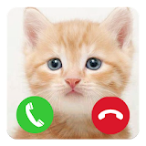 Prank Call Funny Cat icon
