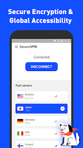 Secure VPN— FAST