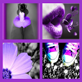 Purple Girly Wallpapers icon