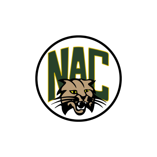 Northern Adirondack CSD logo