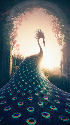 Peacock Wallpapers Screen 2