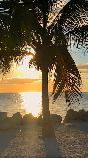 Android application caribbean wallpaper screenshort