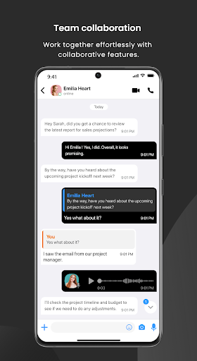 VoIP Business Screen 3