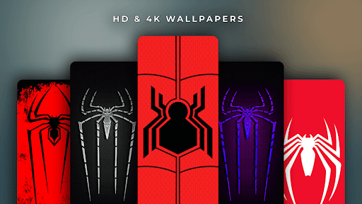 Wallpaper Spider HD  4K
