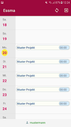 Essma Timesheet Screen 2