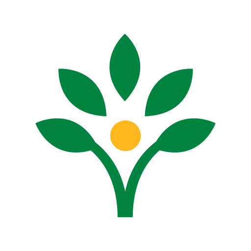 CCB NOW Logo