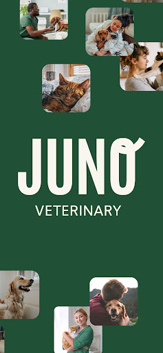Android application Juno Vet screenshort