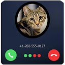 Загрузка приложения fake call from cat Установить Последняя APK загрузчик