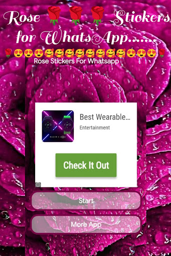 Roses Stickers For WhatsApps