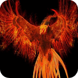 Fiery bird Live WP icon