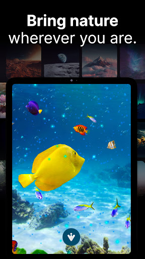 Screenshot of Visutate: Augmented Reality