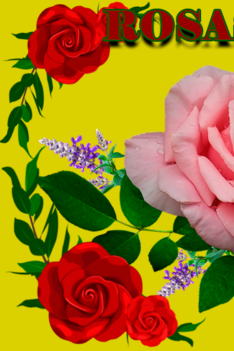 Android application Frases-rosas de amor hermosas screenshort