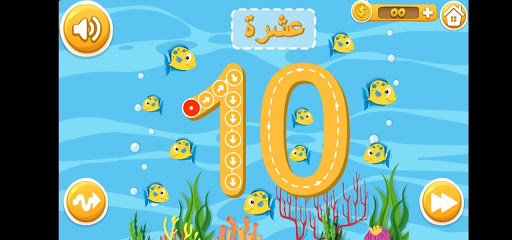 Arabic Numbers - الأرقام العربية