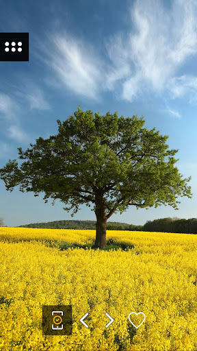 Android application Wallpapers with trees 4K screenshort