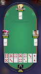 screenshot of Domino