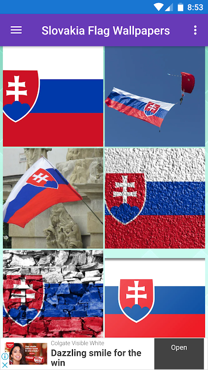 Slovakia Flag Wallpapers - 1.0.40 - (Android)