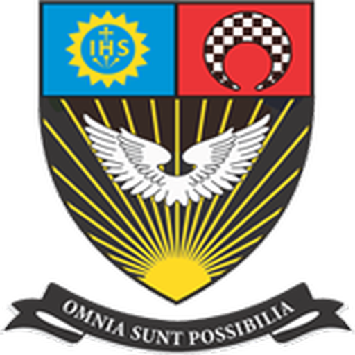XMIR logo