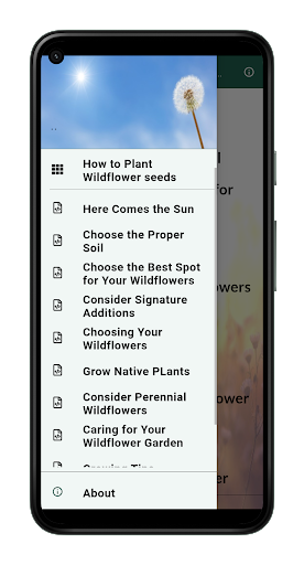 Android application How to Plant Wildflower seeds screenshort