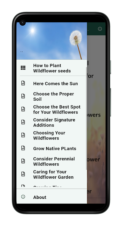 How to Plant Wildflower seeds - 2.0.0 - (Android)