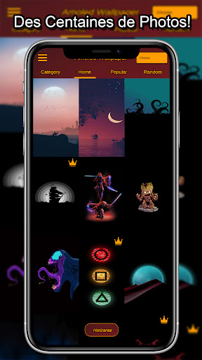 Aperçu de l'application