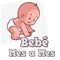 Bebé Mes a Mes