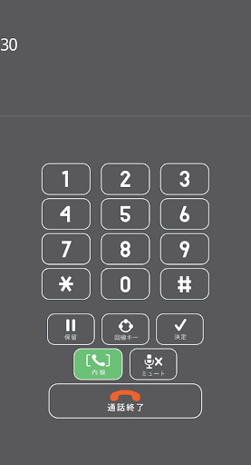 alpha Phone BYOD Screen 2