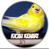 Kicau Kenari - Mp3 icon
