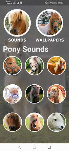 Pony Sounds and Wallpapers