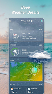 Live Weather Forecast 2023