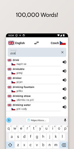 Czech-English Dictionary Screen 2
