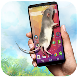 Mouse on Screen Funny Mice - Mobile Scary Prank icon