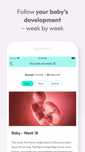 Nørs - Pregnancy tracker Screen 3