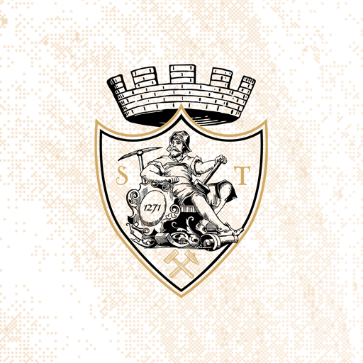 Salina Turda App logo